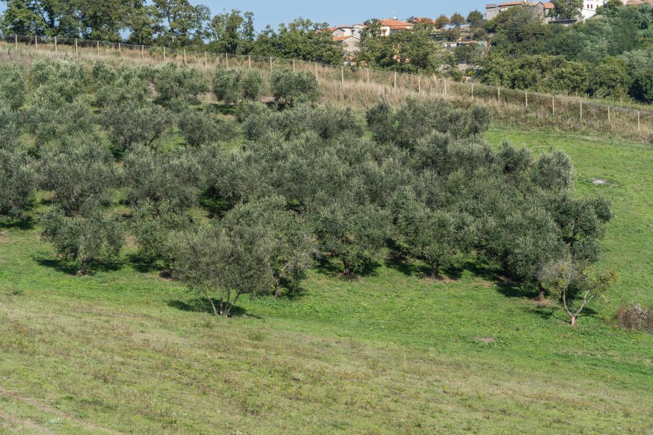 Agriturismo Bella Cima Montefiascone Esterno foto